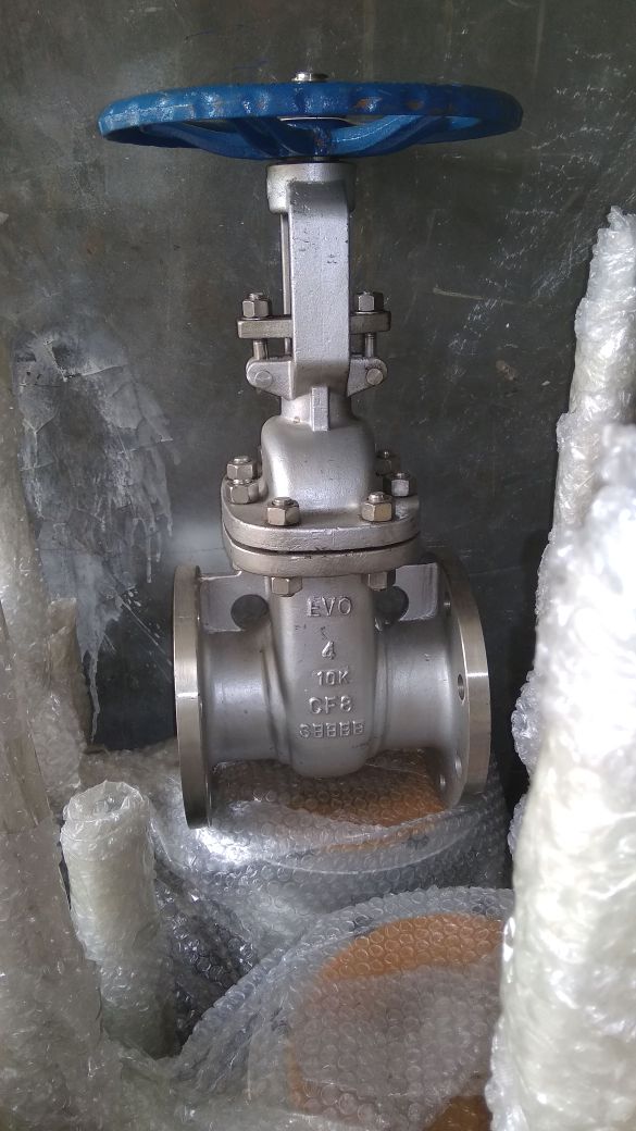 Gate Valve EVO CF8 Ansi 150