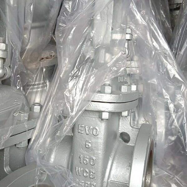 Gate Valve WCB Brand EVO