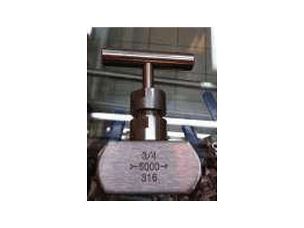 Needle Valve