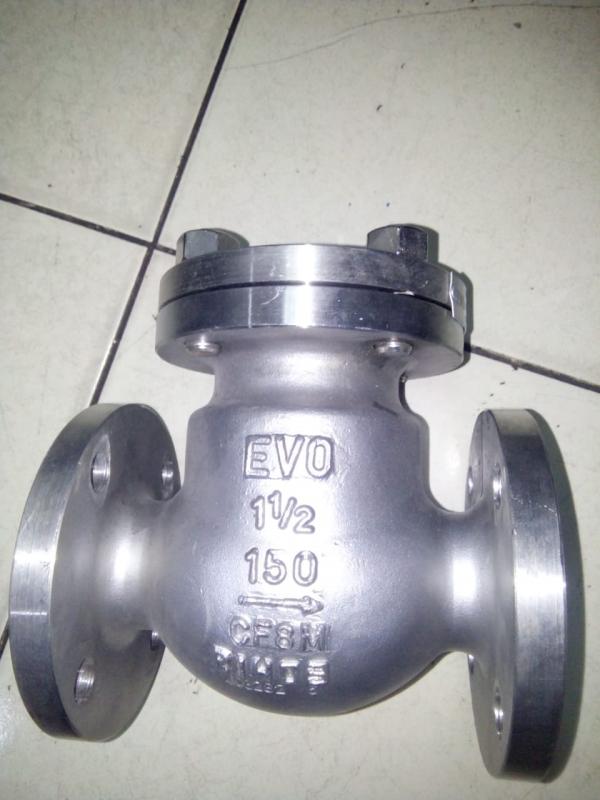 Swing Check Valve EVO Ansi 150